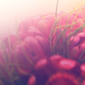 News Header 4