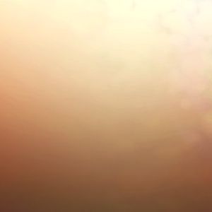 News Header 5