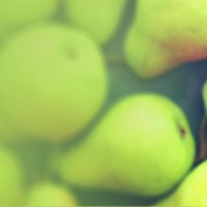 News Header 9